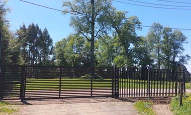 PARCELA A 18 KM DE OSORNO CON ACCESO A RIO (CREDITO DIRECTO)