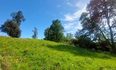 PARCELA A 18 KM DE OSORNO CON ACCESO A RIO (CREDITO DIRECTO)