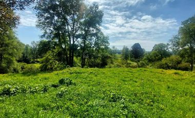 PARCELA A 18 KM DE OSORNO CON ACCESO A RIO (CREDITO DIRECTO)