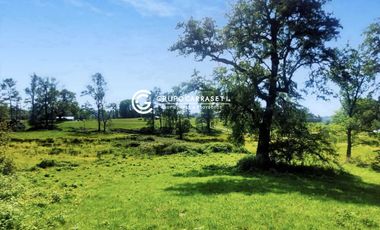 PARCELA A 18 KM DE OSORNO CON ACCESO A RIO (CREDITO DIRECTO)