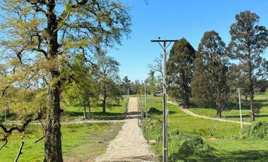 PARCELA A 18 KM DE OSORNO CON ACCESO A RIO (CREDITO DIRECTO)