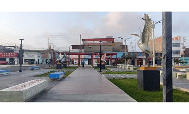 Alquilo Local Comercial 30 M2