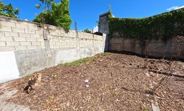 CASA EN VENTA EN CIUDAD DEL CARMEN 🏡✨ 📍Ubicada a unos metros de Periferica, a una cuadra de Panteon Colonia 📍Calle 55 x Periférica norte