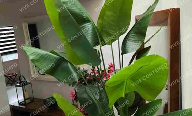 CASA SOLA EN VENTA EN CUERNAVACA CENTRO