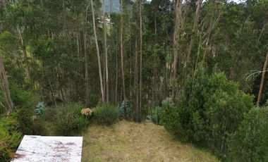 TERRENO 1500M2 PLANO EN SIGSIPABAMBA - DELEG