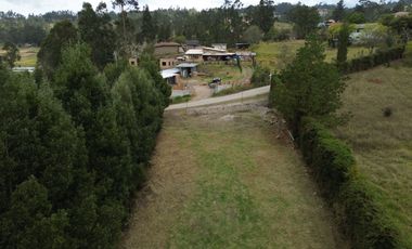 TERRENO 1500M2 PLANO EN SIGSIPABAMBA - DELEG