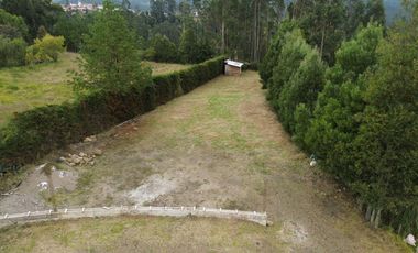 TERRENO 1500M2 PLANO EN SIGSIPABAMBA - DELEG