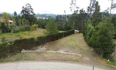 TERRENO 1500M2 PLANO EN SIGSIPABAMBA - DELEG