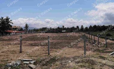 LOTE EN PLAYA BLANCA ZIHUATANEJO GUERRERO