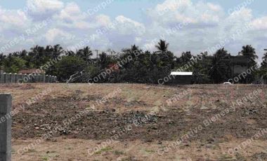 LOTE EN PLAYA BLANCA ZIHUATANEJO GUERRERO