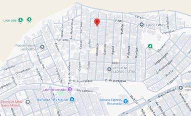 CASA EN VENTA EN MONARCA 83, COL. LOS NARANJOS, LA PRIMAVERA, TAPACHULA DE CÓRDOVA Y ORDÓÑEZ, CHIS. GRAN OPORTUNIDAD DE INVERSIÓN (REMATE BANCARIO).