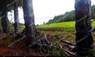 Hacienda lechera de venta en la Paz Nabon. Tecnificada ubicada a 1 hora de Cuenca