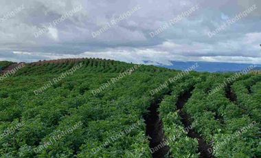 Hacienda lechera de venta en la Paz Nabon. Tecnificada ubicada a 1 hora de Cuenca