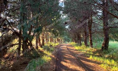 Hacienda lechera de venta en la Paz Nabon. Tecnificada ubicada a 1 hora de Cuenca