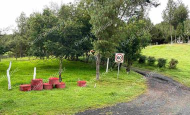 Hacienda lechera de venta en la Paz Nabon. Tecnificada ubicada a 1 hora de Cuenca
