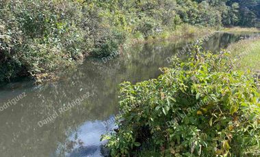 Hacienda lechera de venta en la Paz Nabon. Tecnificada ubicada a 1 hora de Cuenca