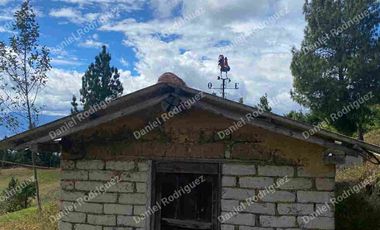 Hacienda lechera de venta en la Paz Nabon. Tecnificada ubicada a 1 hora de Cuenca