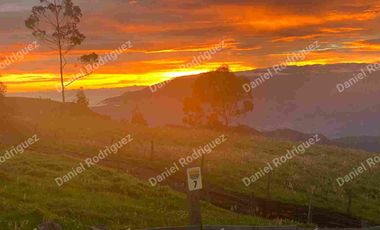 Hacienda lechera de venta en la Paz Nabon. Tecnificada ubicada a 1 hora de Cuenca