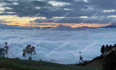 Hacienda lechera de venta en la Paz Nabon. Tecnificada ubicada a 1 hora de Cuenca