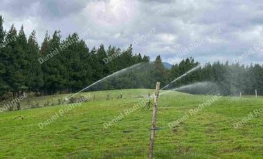 Hacienda lechera de venta en la Paz Nabon. Tecnificada ubicada a 1 hora de Cuenca