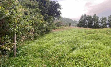 Hacienda lechera de venta en la Paz Nabon. Tecnificada ubicada a 1 hora de Cuenca