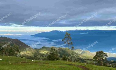 Hacienda lechera de venta en la Paz Nabon. Tecnificada ubicada a 1 hora de Cuenca