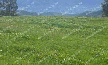 Hacienda lechera de venta en la Paz Nabon. Tecnificada ubicada a 1 hora de Cuenca