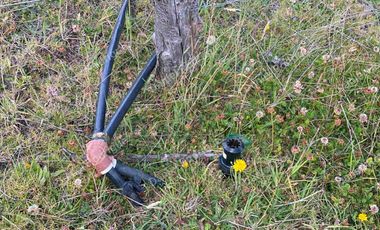 Hacienda lechera de venta en la Paz Nabon. Tecnificada ubicada a 1 hora de Cuenca