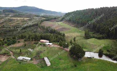 Hacienda lechera de venta en la Paz Nabon. Tecnificada ubicada a 1 hora de Cuenca