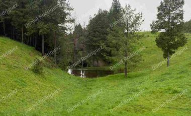 Hacienda lechera de venta en la Paz Nabon. Tecnificada ubicada a 1 hora de Cuenca