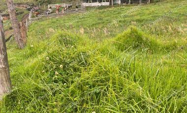 Hacienda lechera de venta en la Paz Nabon. Tecnificada ubicada a 1 hora de Cuenca