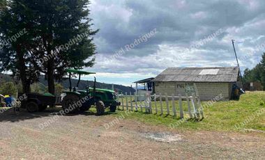 Hacienda lechera de venta en la Paz Nabon. Tecnificada ubicada a 1 hora de Cuenca