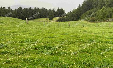 Hacienda lechera de venta en la Paz Nabon. Tecnificada ubicada a 1 hora de Cuenca