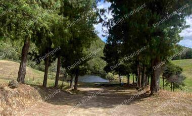 Hacienda lechera de venta en la Paz Nabon. Tecnificada ubicada a 1 hora de Cuenca