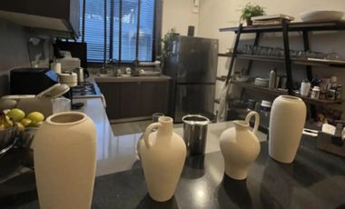Venta exclusivo PH en Calle Chihuahua en la roma norte con 4 terrazas