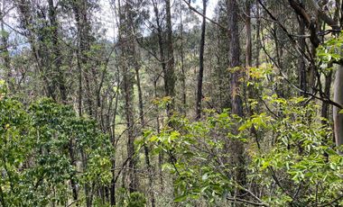LOS CHILLOS: HERMOSA HACIENDA 6HCTS, SECTOR AMAGÜAÑA : $1200.000,00