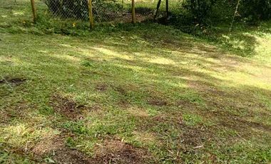 Hermoso lote en venta