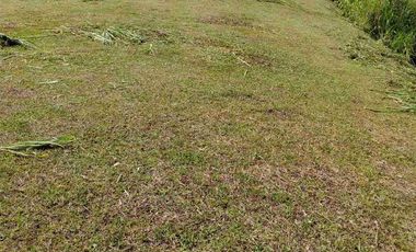 Hermoso lote en venta