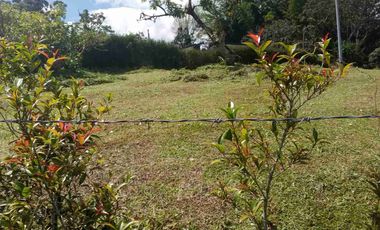 Hermoso lote en venta