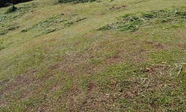 Hermoso lote en venta