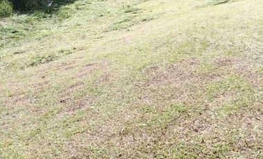 Hermoso lote en venta