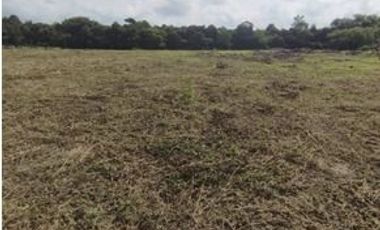 VENDO FINCA DE DESCANSO Y EXPLOTACIÓON GANADERA Y TURISTICA