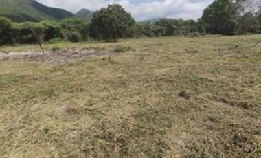 VENDO FINCA DE DESCANSO Y EXPLOTACIÓON GANADERA Y TURISTICA