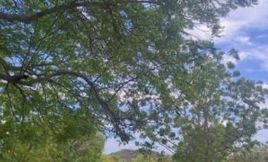 VENDO FINCA DE DESCANSO Y EXPLOTACIÓON GANADERA Y TURISTICA