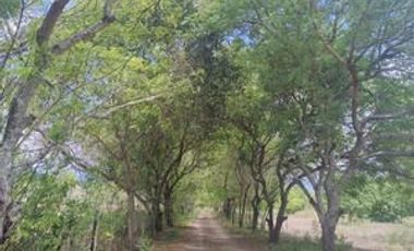 VENDO FINCA DE DESCANSO Y EXPLOTACIÓON GANADERA Y TURISTICA