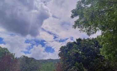 VENDO FINCA DE DESCANSO Y EXPLOTACIÓON GANADERA Y TURISTICA