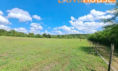 Terreno / Quinta Campestre en Venta Montemorelos N. L