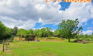 Terreno / Quinta Campestre en Venta Montemorelos N. L