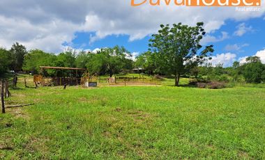 Terreno / Quinta Campestre en Venta Montemorelos N. L