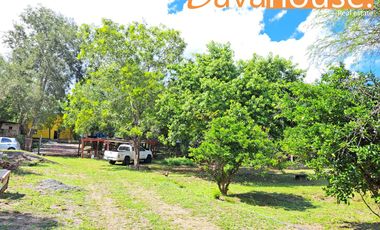 Terreno / Quinta Campestre en Venta Montemorelos N. L